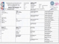 Gaga Lady PP-page-001